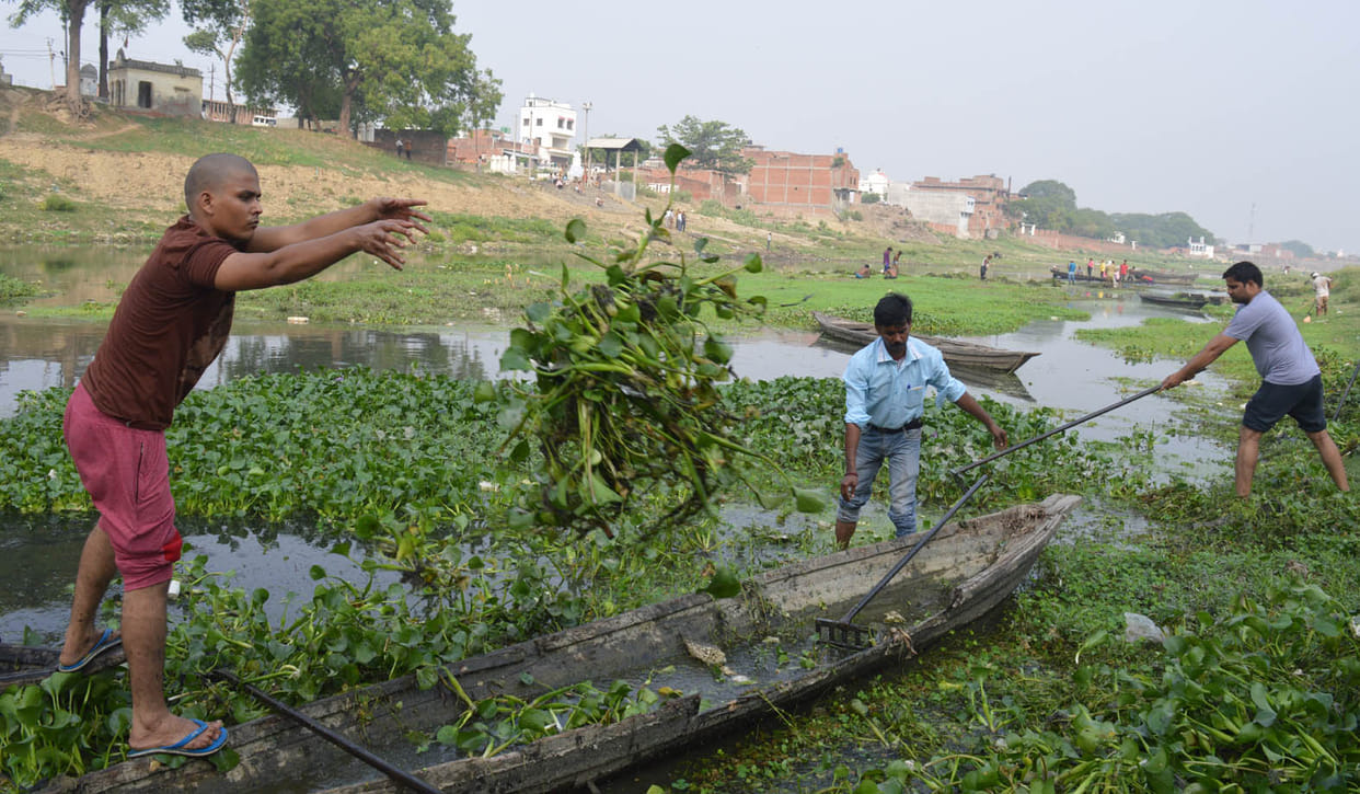 do hard work for cleanness of tamsa