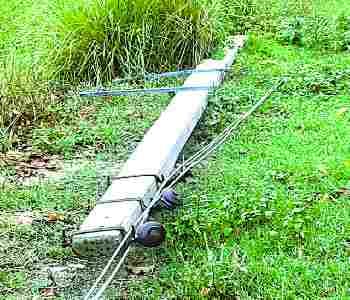 Trees fallen from the storm, power supply halt