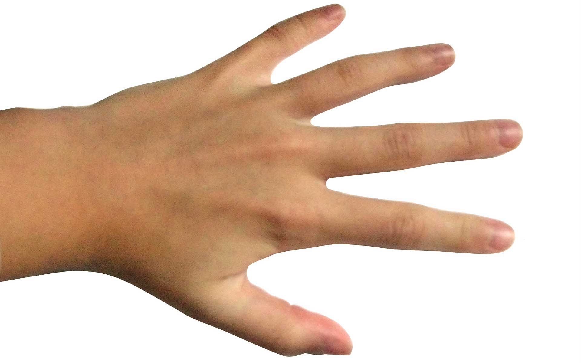 Пальцы Человека