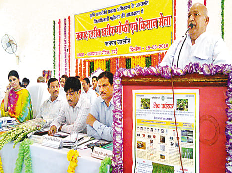 Increase yields from organic fertilizer