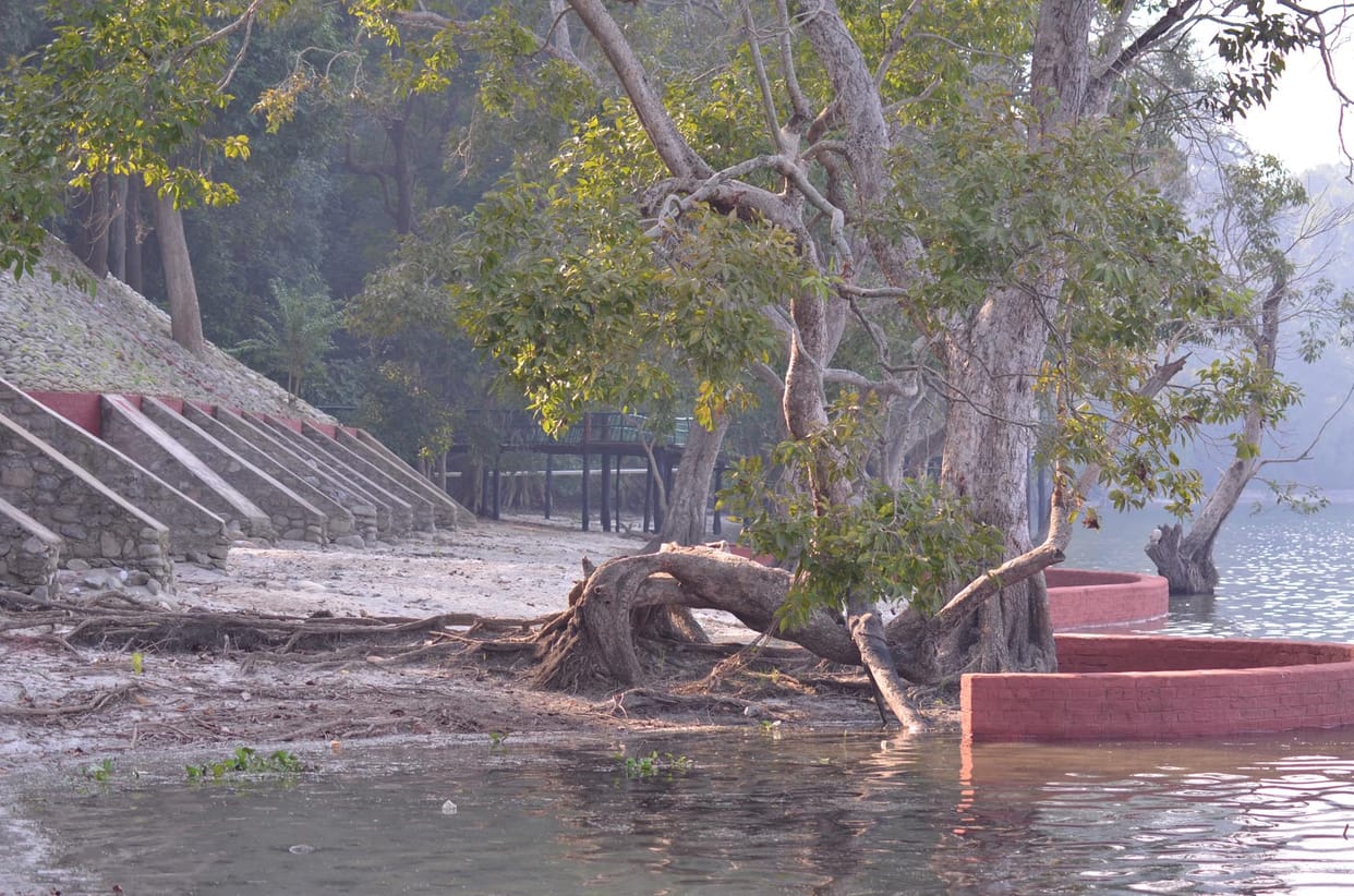 The new season will see the Rhinoceros Tiger Reserve