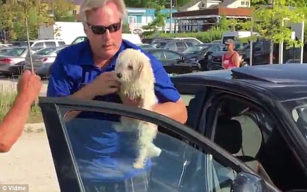 Passer-by uses a rock to smash car window and free a dog locked inside during extreme heat  
