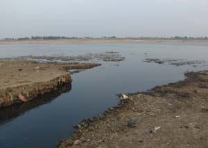 Kakaraha pier being directly poisoned river