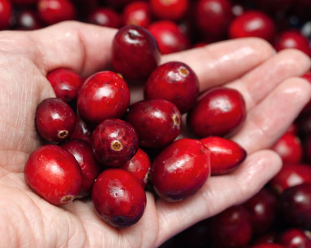 Benefits Of Cranberry Amar Ujala Hindi News Live इस वजह से हर महिला को पीना चाहिए करौंदे का रस