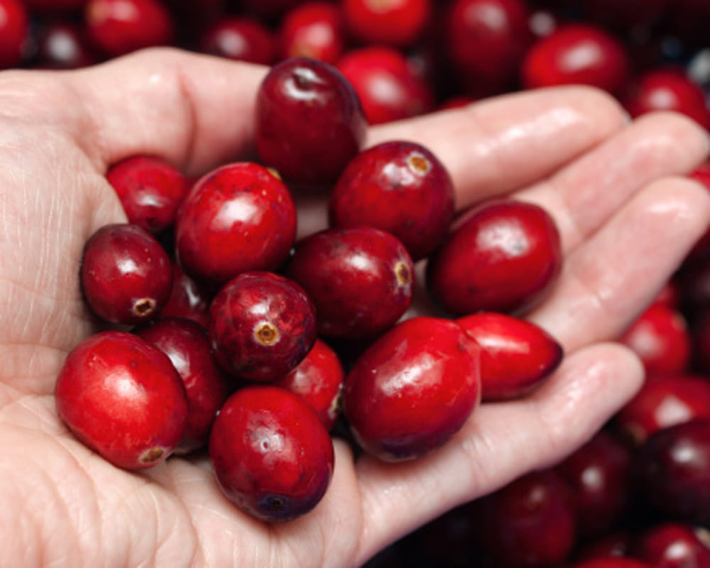 benefits of cranberry