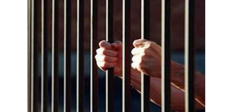 mother murder son life imprisonment, court news, ropar