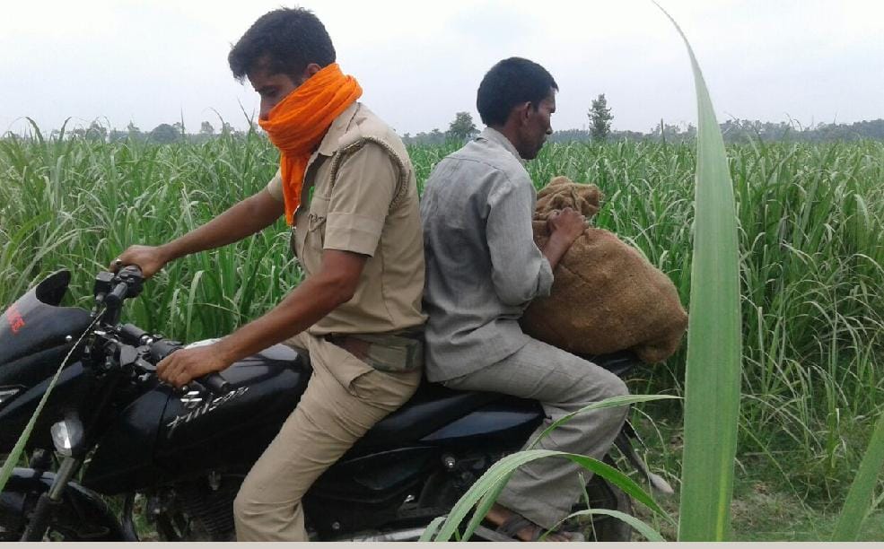 Meat recovered from sugarcane