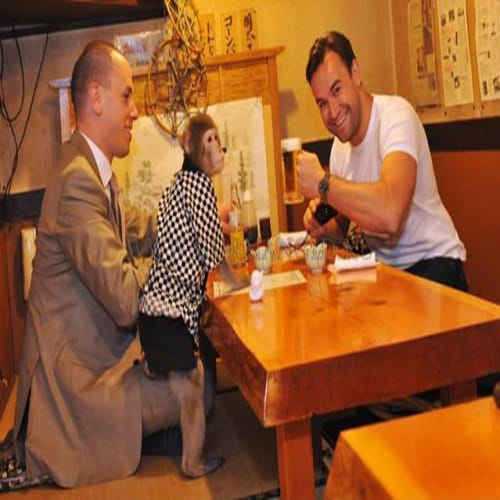 Japan restaurant with monkeys as waiters