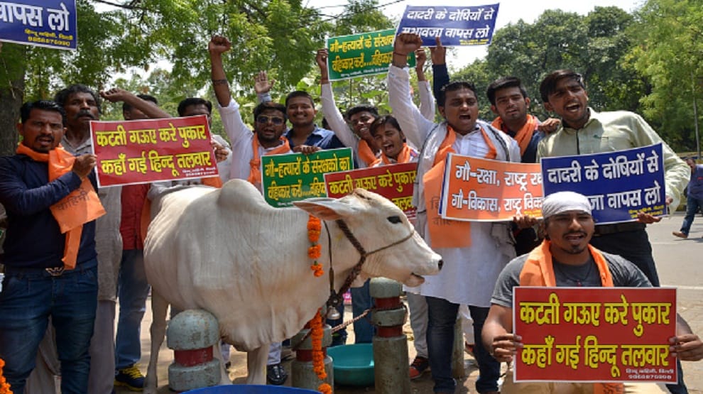 VHP wants to establish separate ministry for cows