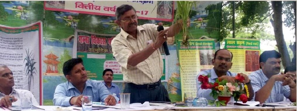 "Increase productivity per hectare sugarcane farmers'