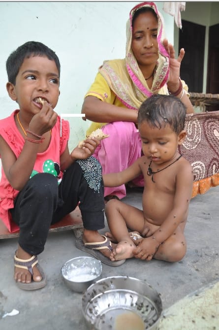 no marriages in karnal village due to terror of house fly in summer season