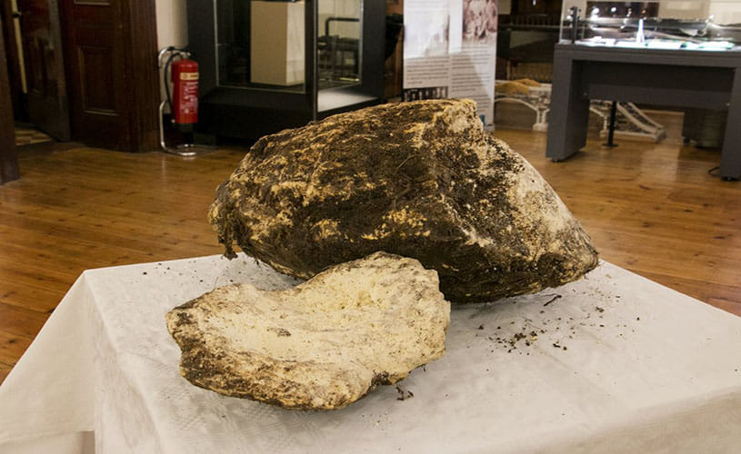 2000 year old bog butter