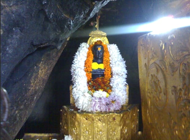 Peacock enters in Baba Balak Nath temple at Hamirpur.