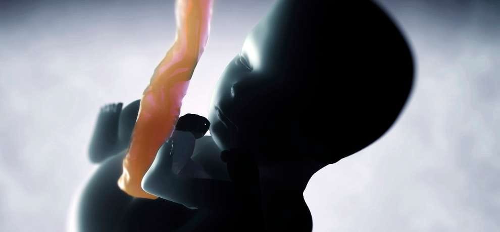 Himachal govt announces Rs 1 lakh reward for giving info about sex determination test