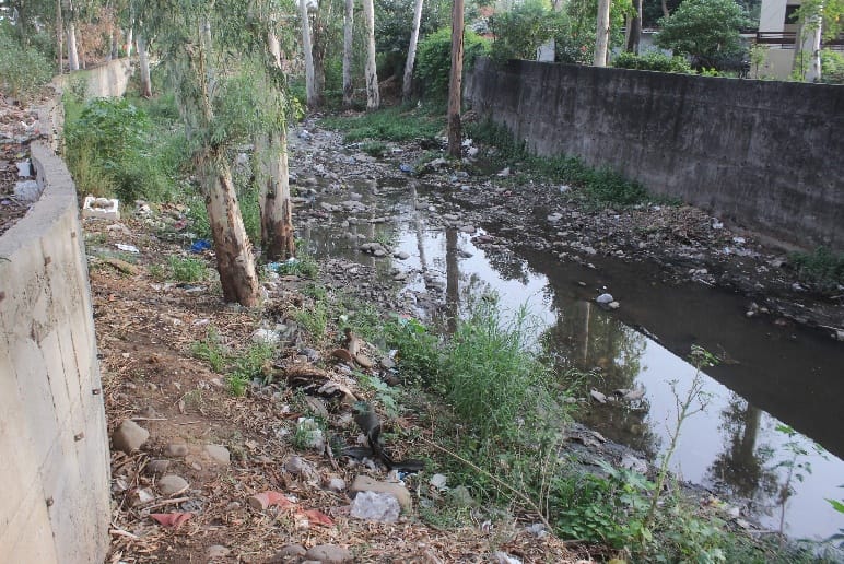  market encroachment, drainage system, panchkula nagar nigam, panchkula