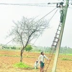 bijli