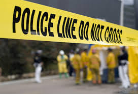 stolen Vegetable farm was killed
