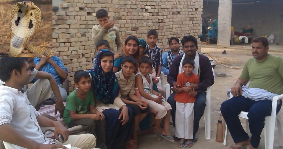 ajab gajab tradition of village, no snake killing and nobody died due to snake biting
