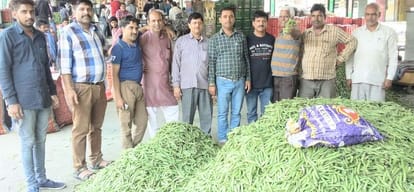 cultivation of peas, tomato in Balh valley of Mandi 