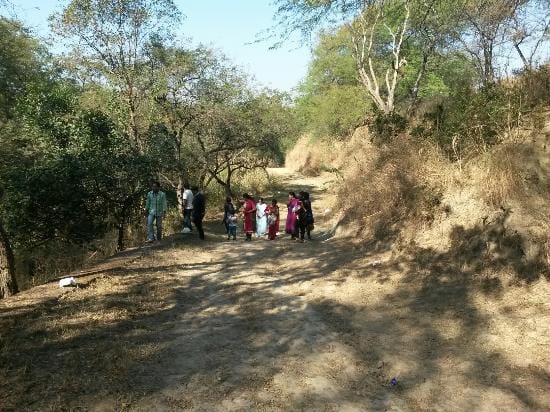 entry ban in chandigarh forest, nepali forest, kansal forest, sukhna lake forest, wild life deptt