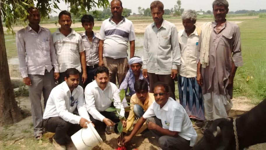 The resolution of saving the environment