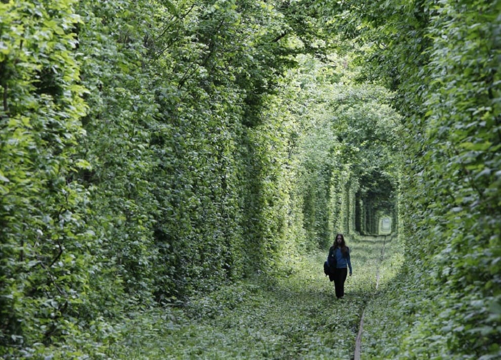 Imaginary world that actually exist 