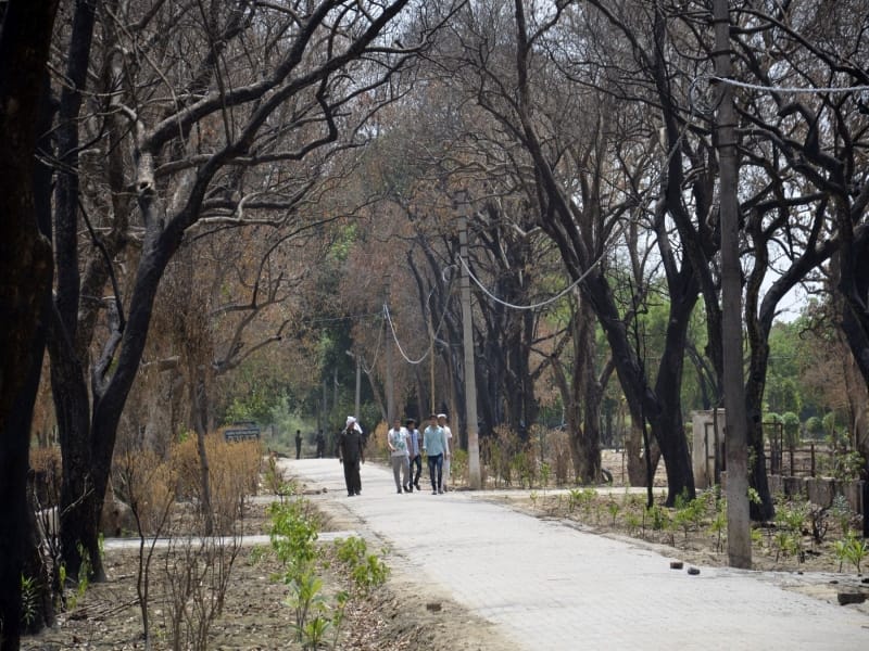 jawahar bagh case in mathura