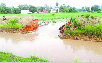  Hundreds of acres of crops submerged canal track breakdown