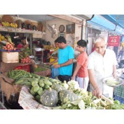 patoto, ymn, haryana