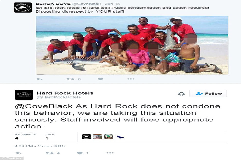 Shark dies after a group of tourists drag it from the water to take photos
