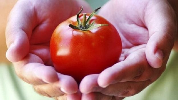 When petrol is cheaper then Tomato then where is inflation in the country?