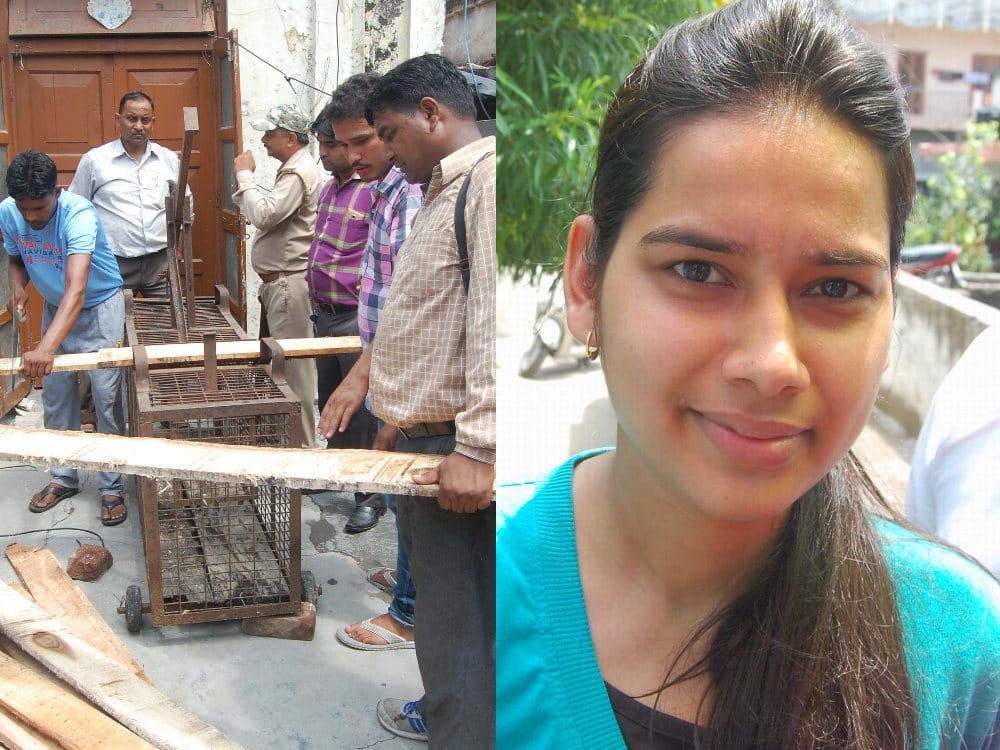 brave ayushi saves her family from guldar