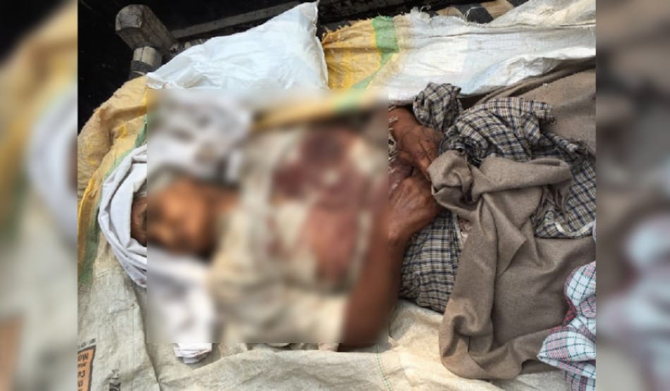 murder of elderly woman due to land dispute, crushed by tractor