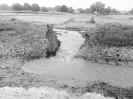 Khandi near the village of Rampur, the submerged farmland