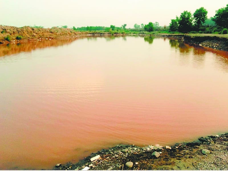 Panchkula student, student death pond bath time dipped in Pirmuchalla 