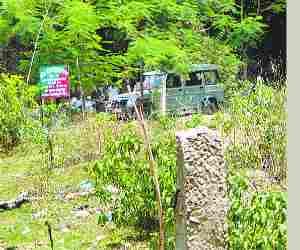 62 Lakh spend but plants are not safe