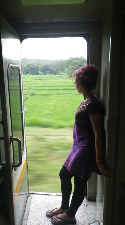 Beautiful views will show  from the window of the train 