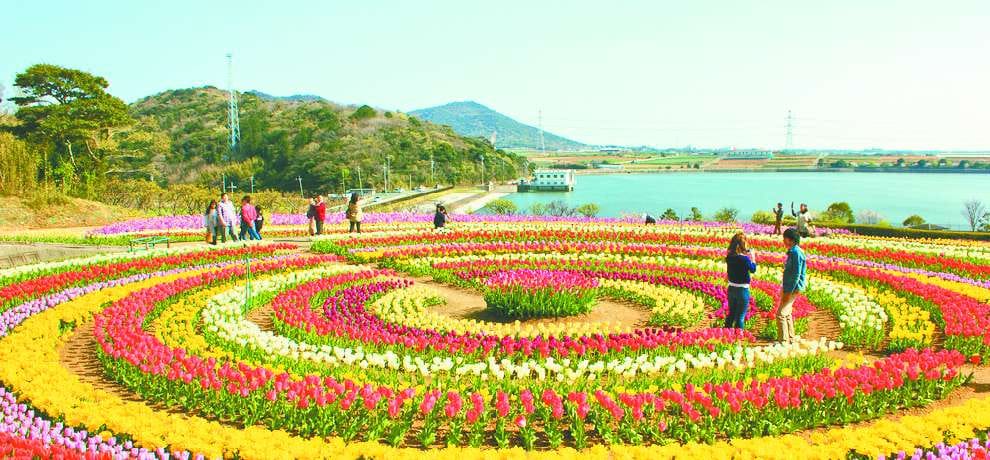 TULIP GARDEN TO BE OPEN FOR TOURISTS FROM TODAY