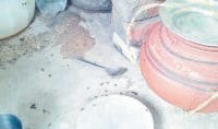 annoy to bees, peole ill in ambala, ambala