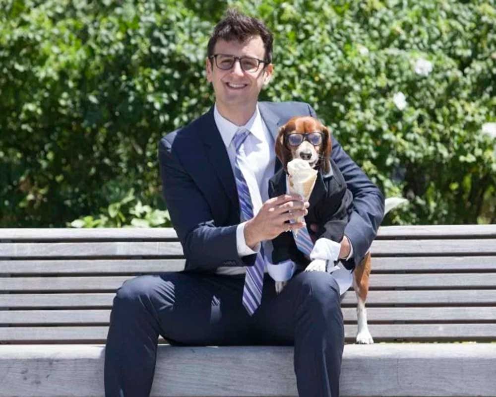 Dogs celebrate fathers day with their human dad