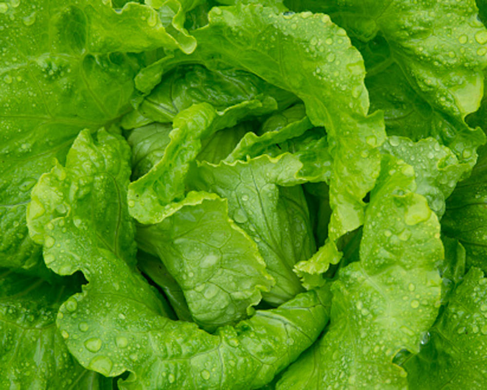 vegetables to beat dehydration instantly