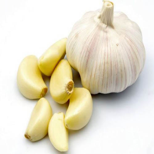 foods that will increase male fertility