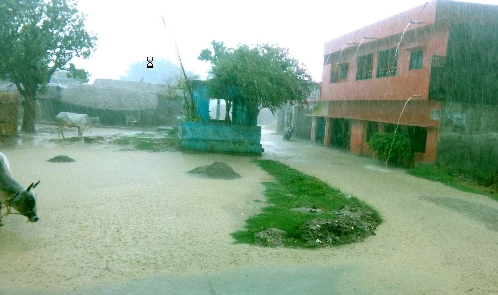 Jmajm farmers face rain bloom