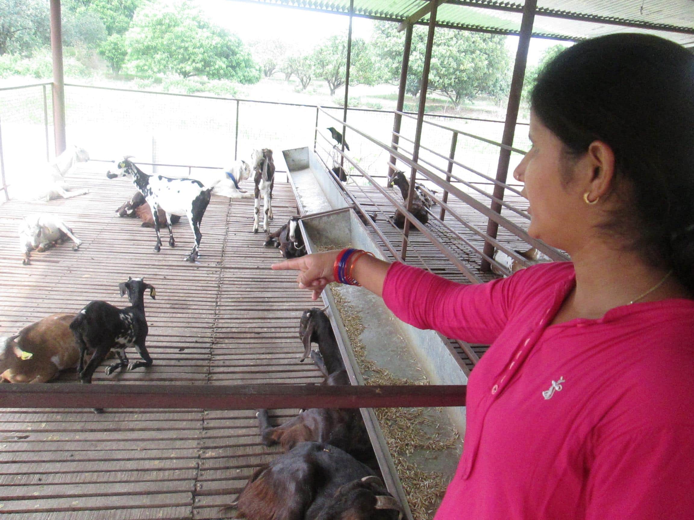 shweta tomar left fashion designing agro farming