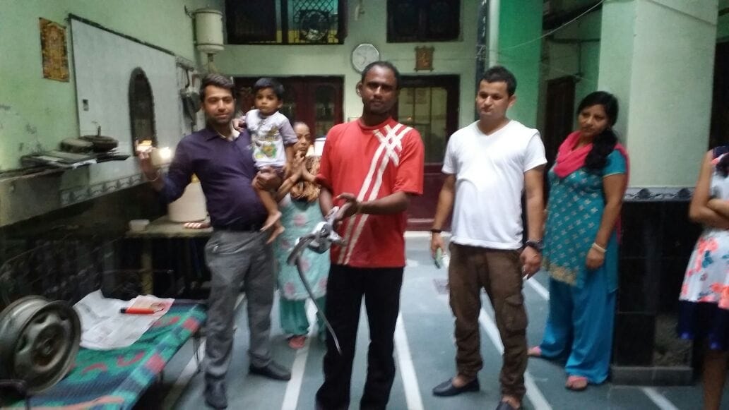 snake, cobra snake found in house, snake found in almirah, chandigarh
