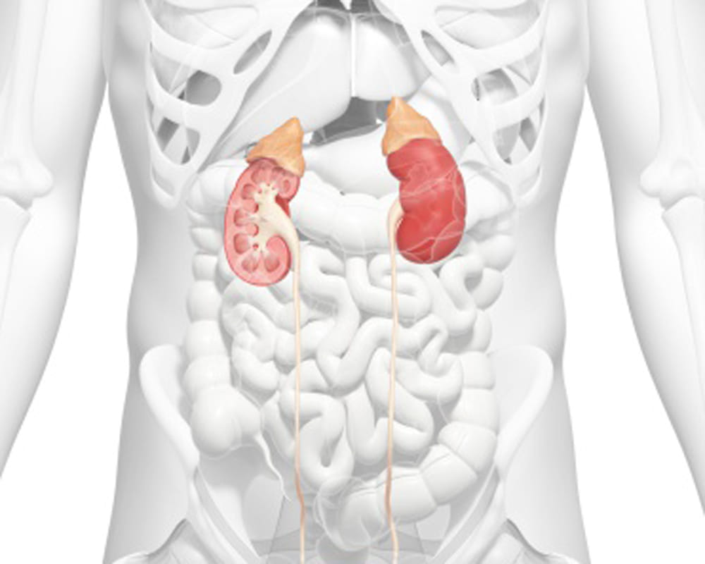 chinese man living with four kidney