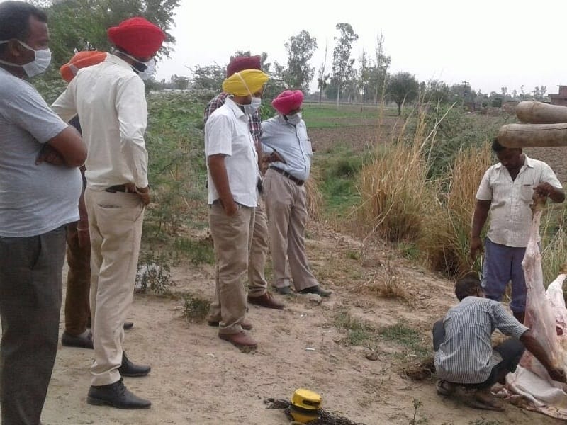 40 people injured in Jackal attack 