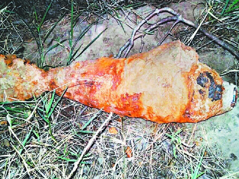 bomb recover, tarn taran bomb recover, bomb found in border area, tarn taran, amritsar