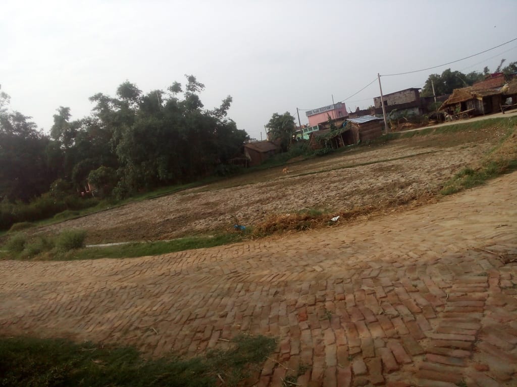 than pond now field