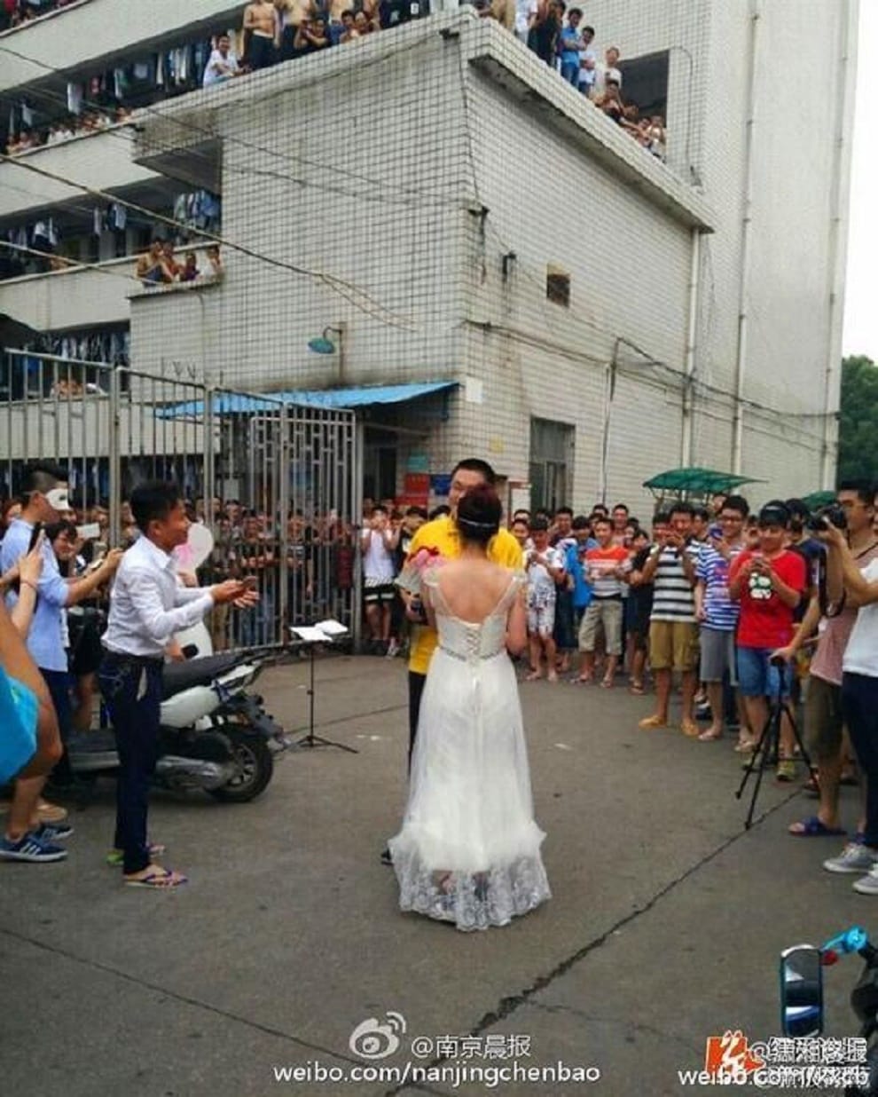 professor wears wedding dress to propose to student